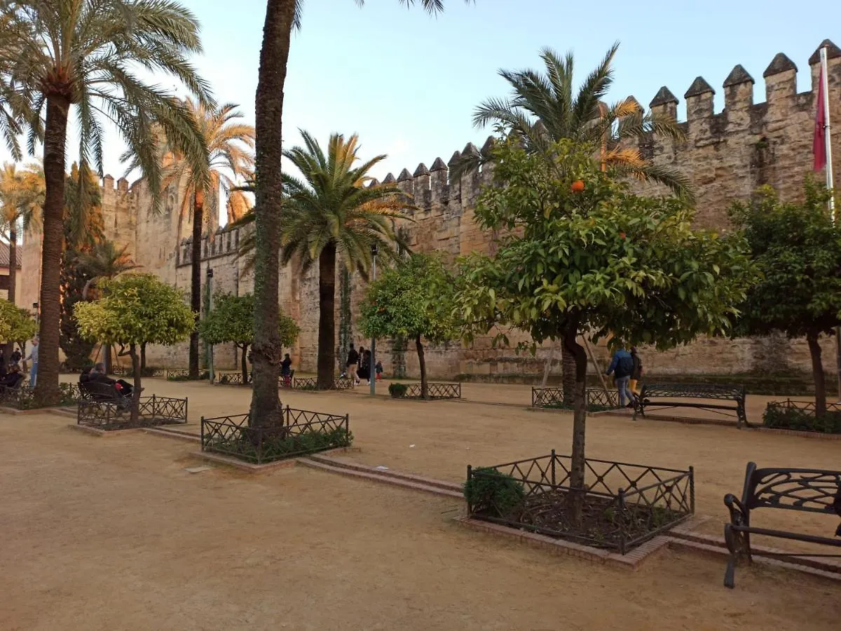 Amor y Emoción: Céntrico Apartamento con Wi-Fi cerca de la Catedral Cordoba