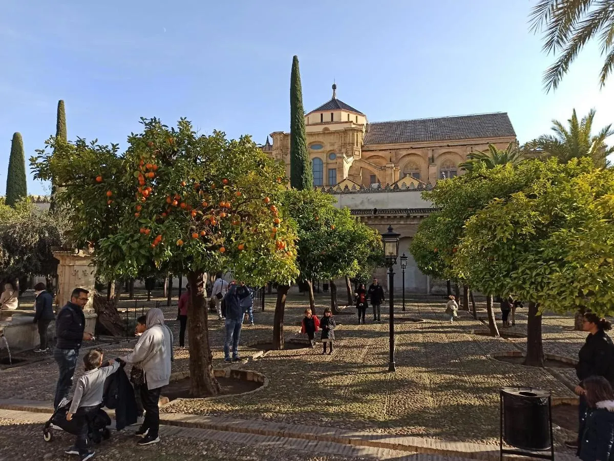 Amor y Emoción: Céntrico Apartamento con Wi-Fi cerca de la Catedral Cordoba 0*,  Spain